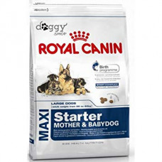Royal Canin Maxi Starter Mother and Babydog - 15 kg