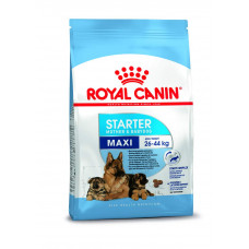 Royal Canin Maxi Starter (Mother and Babydog) 4 Kg  