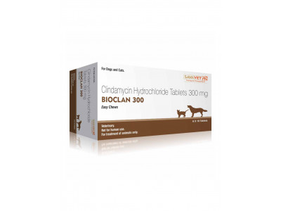Bioclan 300 mg Tab (Pack-10)