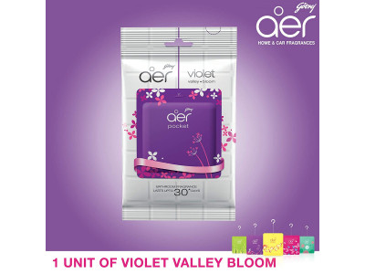 Godrej Aer Pocket Violet Bloom Bathroom Freshner 