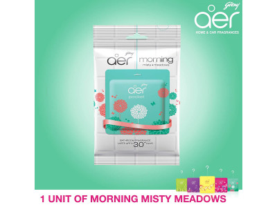 Godrej Aer Pocket Morning Misty Bathroom Freshner