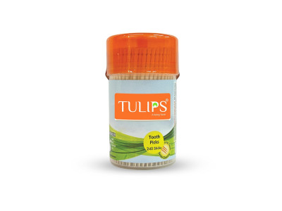 Tulips Toothpick Jar 240  Nos