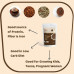 Nutribud Foods Sprouted Ragi, Almonds & Peanuts (Choc) Drink Mix 200 Gms