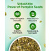 TRUE ELEMENTS RAW PUMPKIN SEED 150 GM