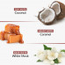 DENCE NOURISHING SOAP 100 GM DENCE NOURISHING SOAP 100 GM