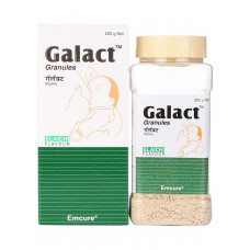 Galact Gran - 200 gms