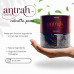 Antrah Calcutta Paan 150 Gms
