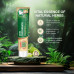 APOLLO NONI TOOTHPASTE 150 GM