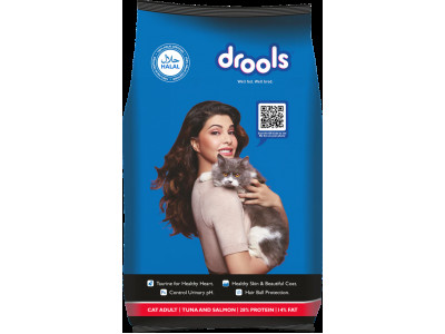 Drools Cat Adult Combo 400 GM