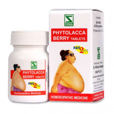 SCHWABE PHYTOLACCA BERRY-COMBI (4X20GMS) 80 GMS 
