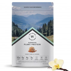 Wellbeing Nutrition Vegan Plant Protein Vanila 500 Gm Powder