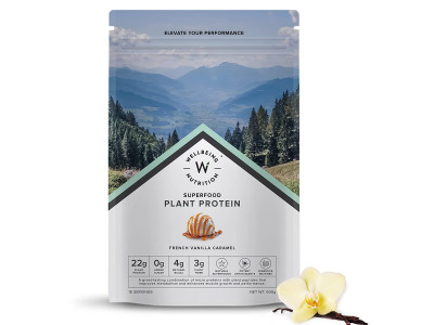 Wellbeing Nutrition Vegan Plant Protein Vanila 500 Gm Powder