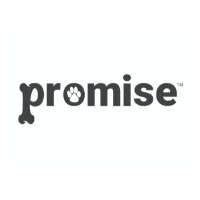 Promise